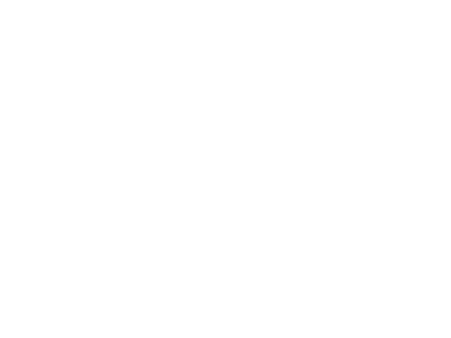 Seiki Properties
